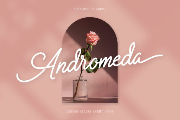 Andromeda Font: A Polished Script for Small Business Branding