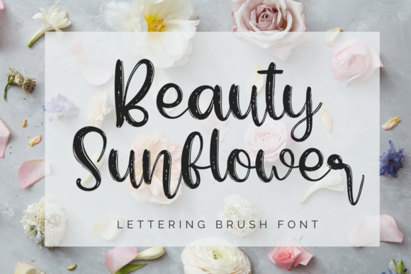 Beauty Sunflower Font Review for Web Designers