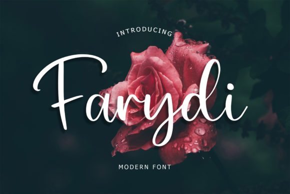 Farydi Font: Elegant Script for Handmade Brands