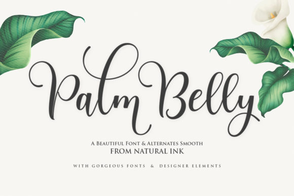 Palm Belly Font: Elevate Your Brand Identity