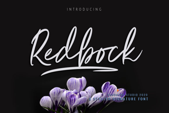 Redbock Font Review: A Timeless Script for Brand Identity