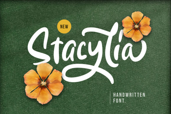 Stacylia: The Handwritten Font That Elevates Small Business Branding