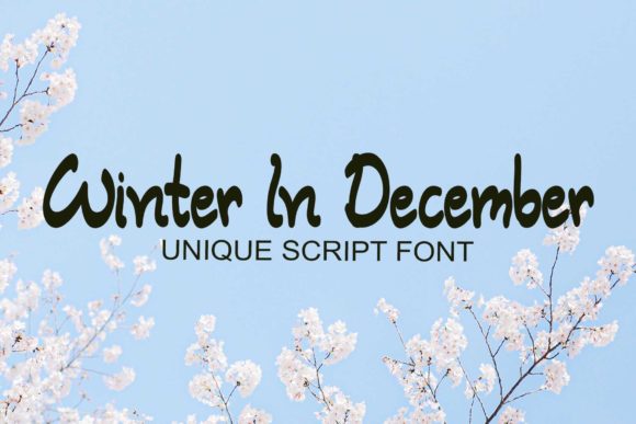 Winter in December: A Playful Script Font for Web Design